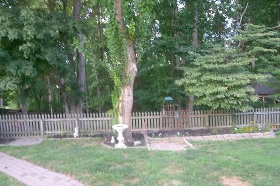 2536 Johnson Ridge Road Antioch, TN 37013 - Photo 3 of 22 Gallery Image 3