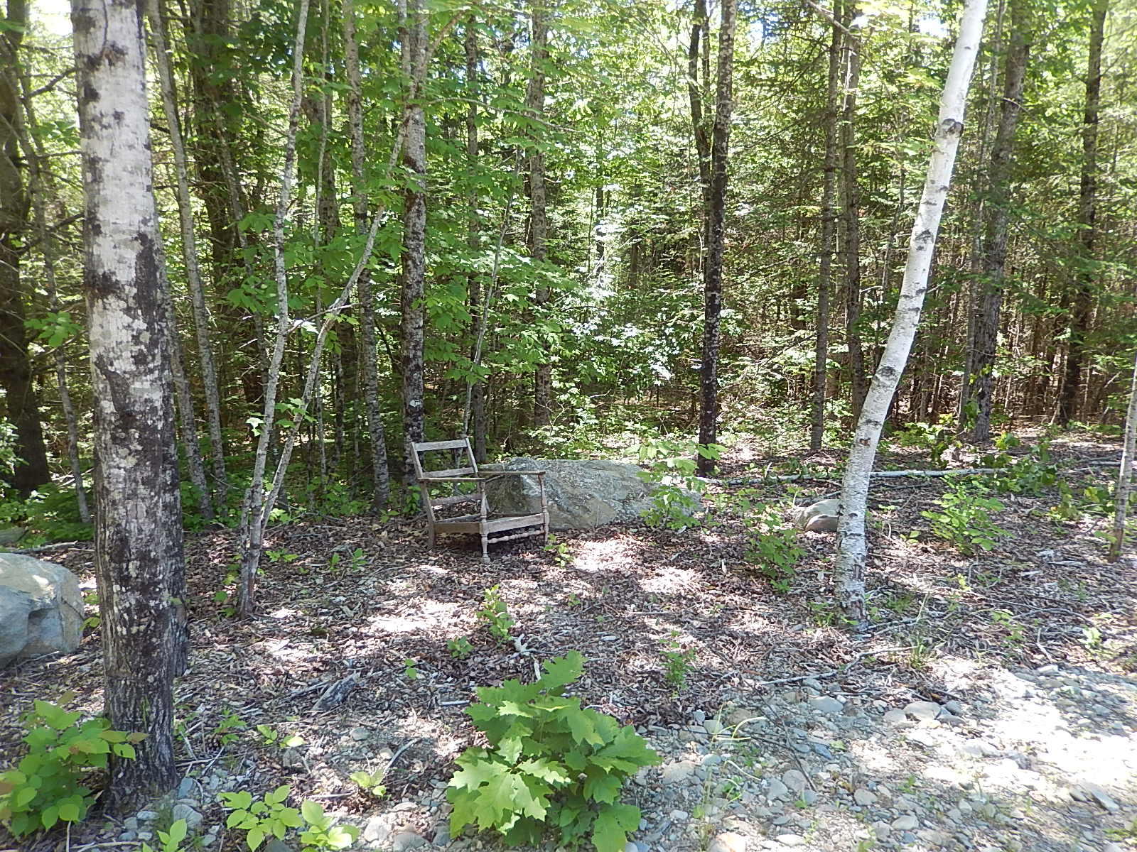 109 Belfast Augusta Road Searsmont, ME 04973 - Photo 17 of 20 DSCN9855
