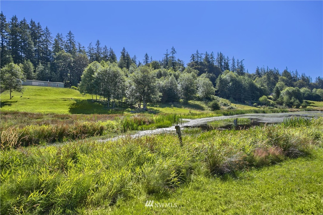365 Egg And I Ridge Road Chimacum, WA 98325 - Photo 21 of 25