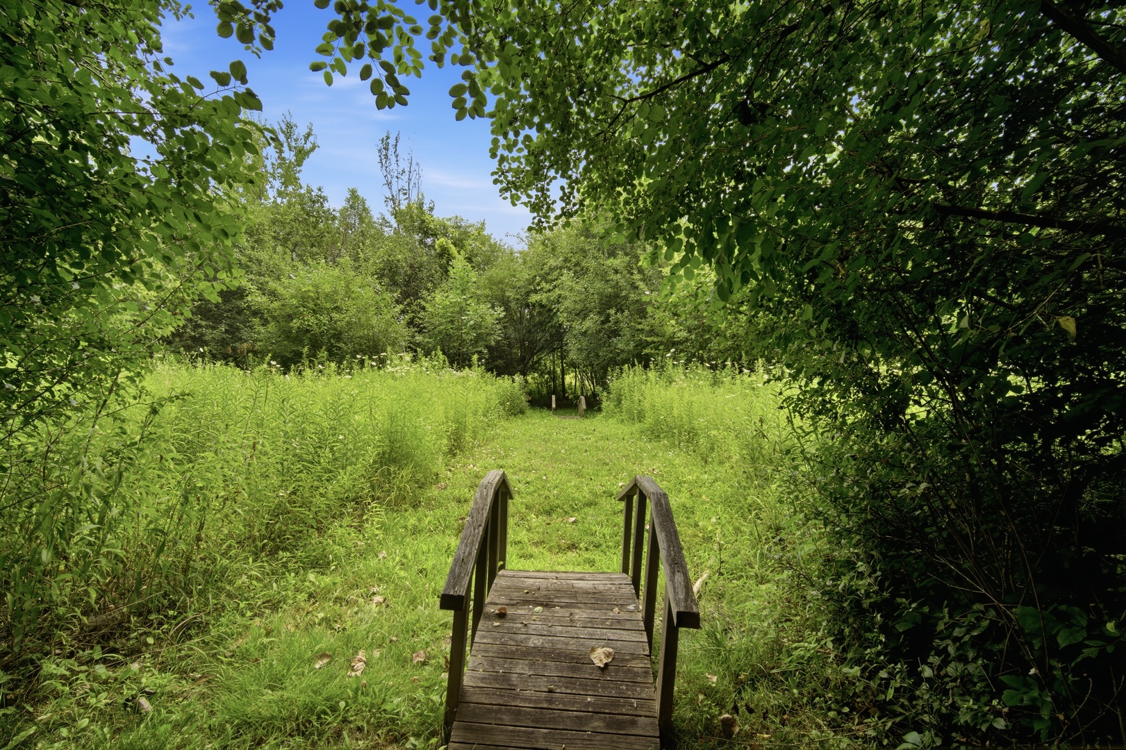 1630 Ridge Road Highland Park, IL 60035 - Photo 44 of 46 Gallery Image 44