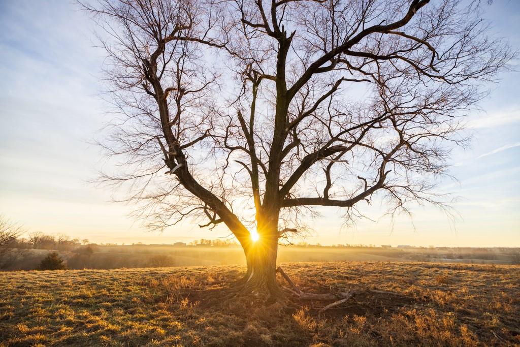 0 Willow Road Winigan, MO 63566 - Photo 23 of 46