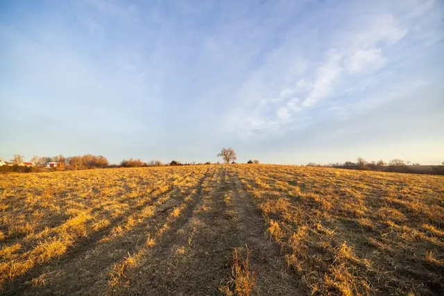 $424,600 | 0 Willow Road, Winigan, MO 63566