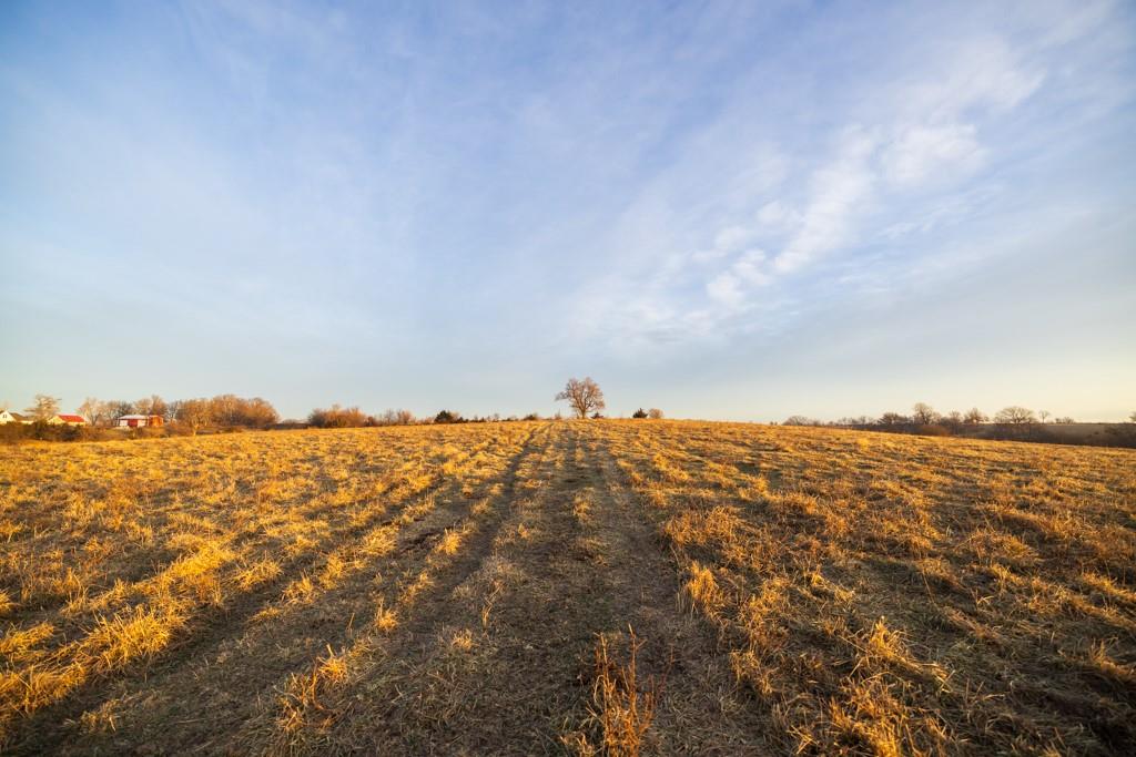 0 Willow Road Winigan, MO 63566 - Photo 25 of 46