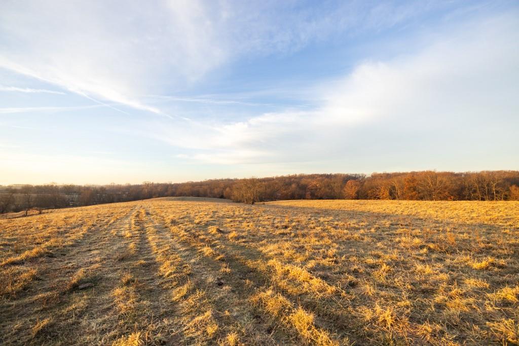 0 Willow Road Winigan, MO 63566 - Photo 27 of 46
