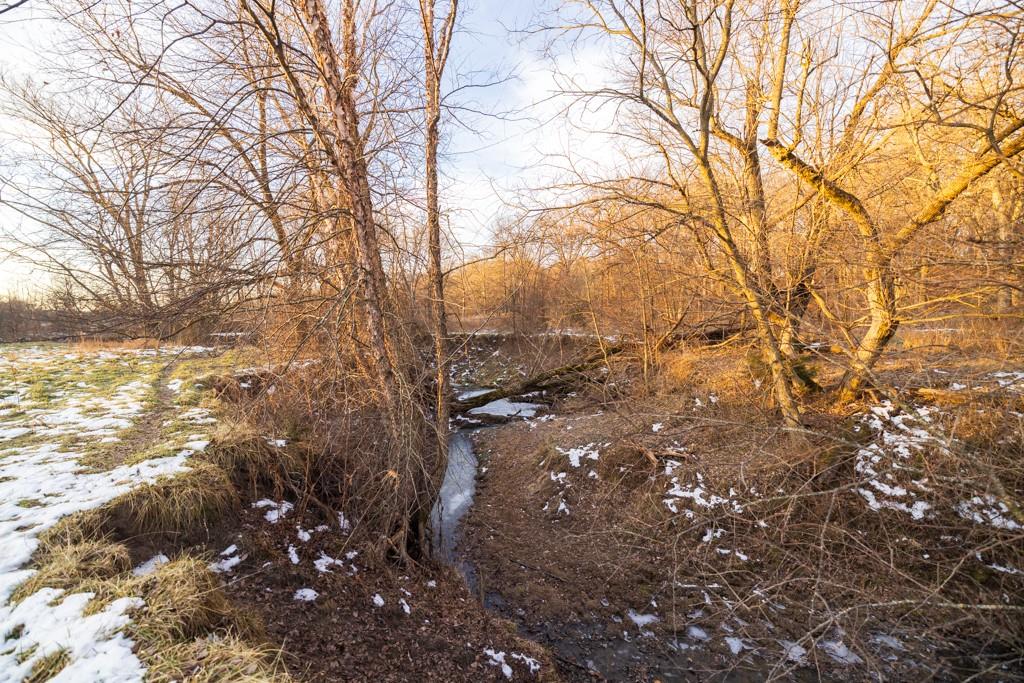 0 Willow Road Winigan, MO 63566 - Photo 31 of 46