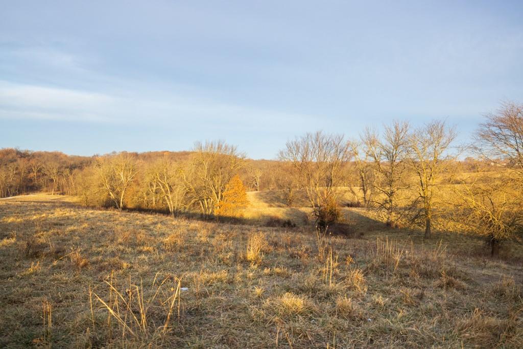 0 Willow Road Winigan, MO 63566 - Photo 35 of 46