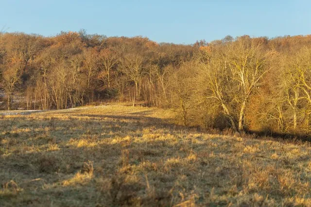 $424,600 | 0 Willow Road, Winigan, MO 63566