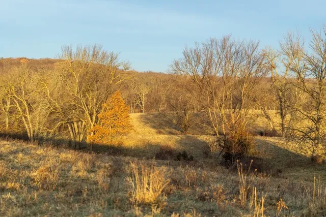 $424,600 | 0 Willow Road, Winigan, MO 63566