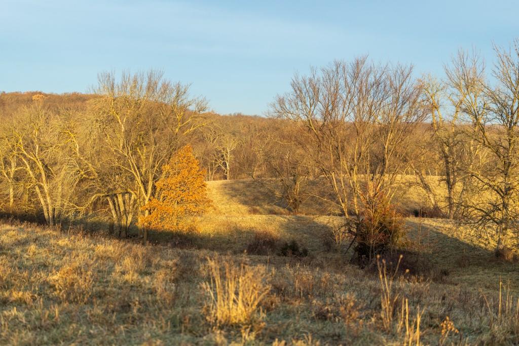 0 Willow Road Winigan, MO 63566 - Photo 40 of 46