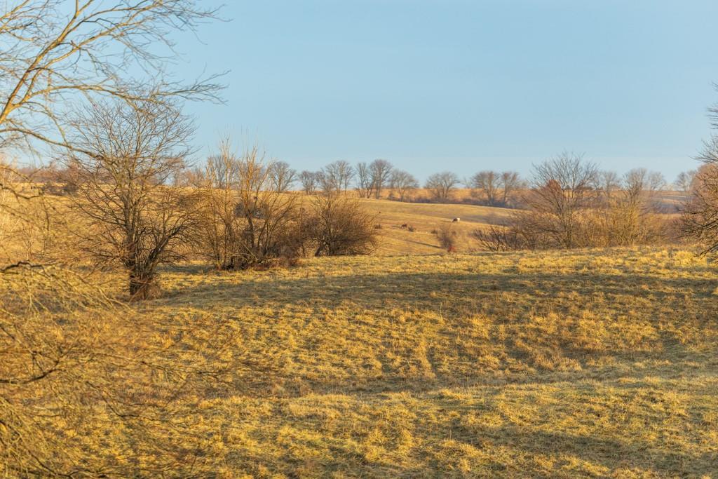 0 Willow Road Winigan, MO 63566 - Photo 41 of 46