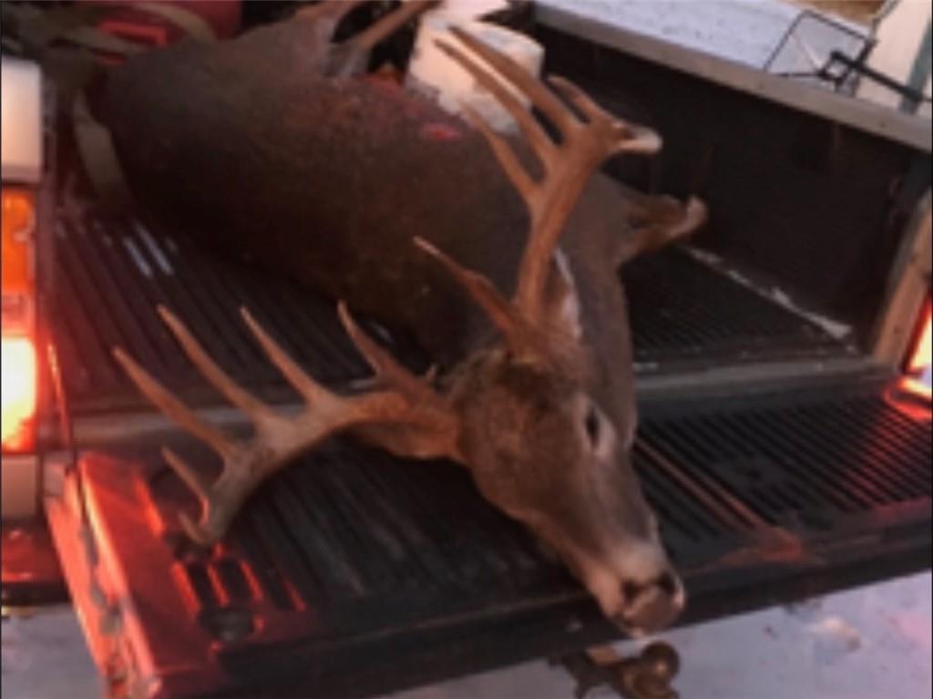 0 Willow Road Winigan, MO 63566 - Photo 42 of 46