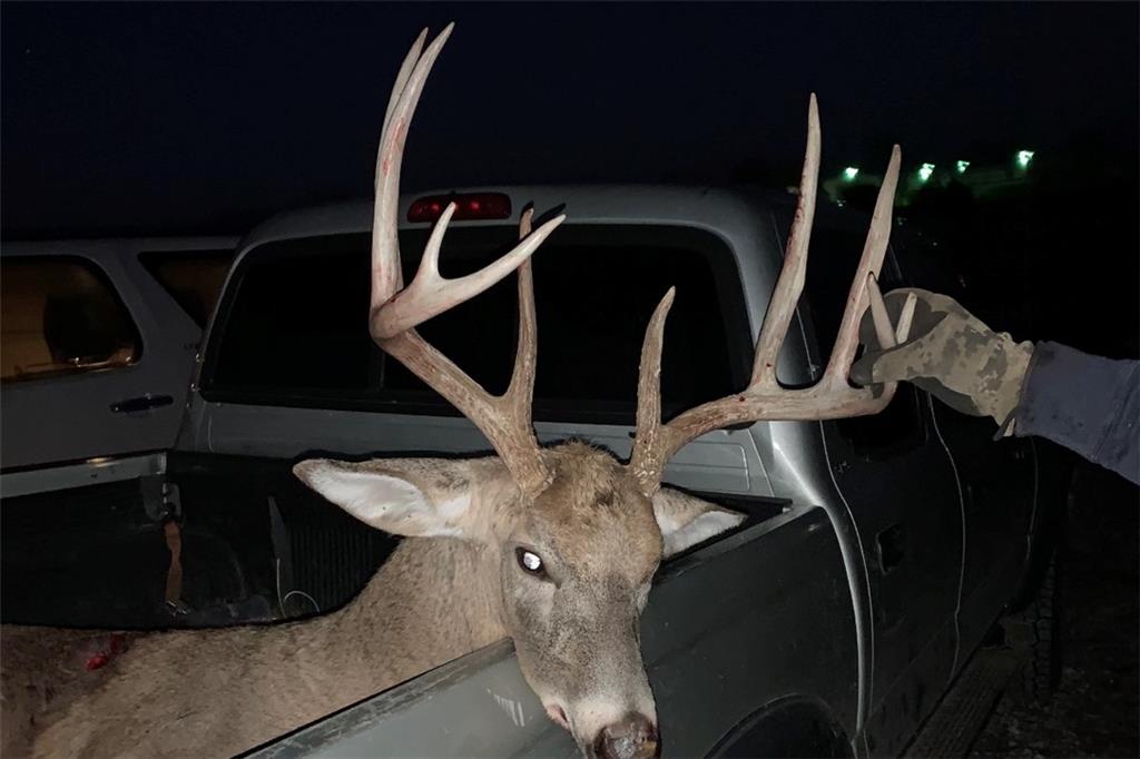 0 Willow Road Winigan, MO 63566 - Photo 43 of 46