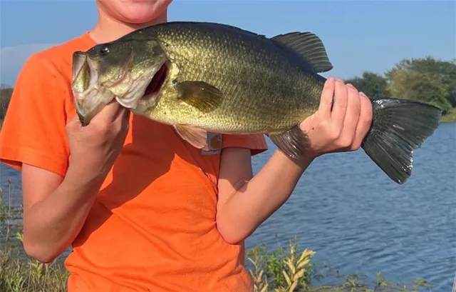 $424,600 | 0 Willow Road, Winigan, MO 63566