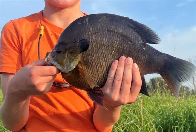 $424,600 | 0 Willow Road, Winigan, MO 63566