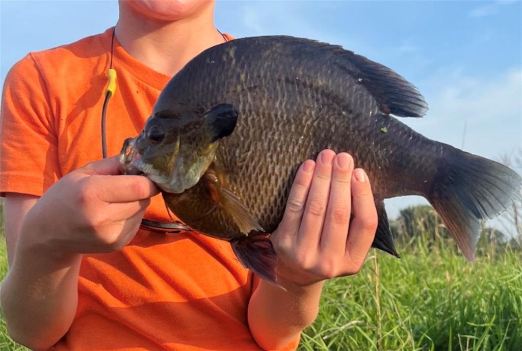 0 Willow Road Winigan, MO 63566 - Photo 46 of 46