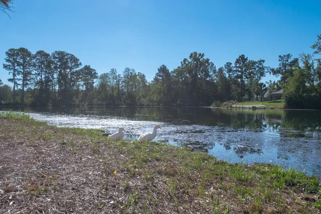 $518,345 | 634 Slade Lake Drive, North Augusta, SC 29841