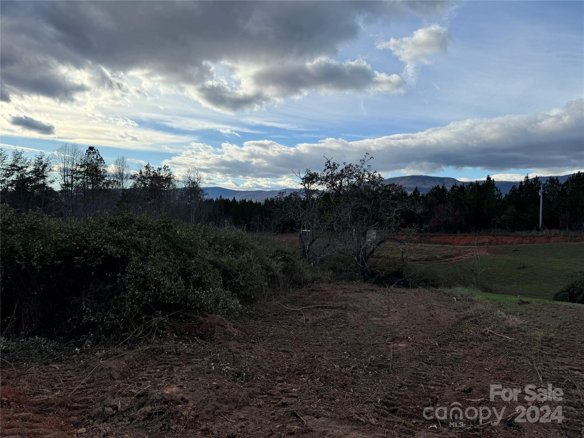 0 Rubin Wilson Road Mill Spring, NC 28756 - Photo 1 of 4