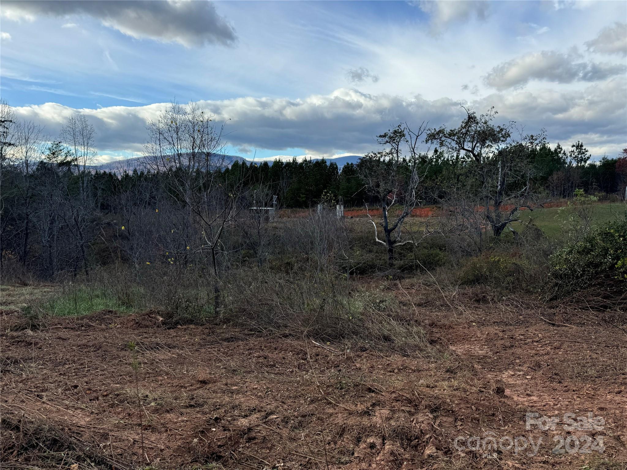0 Rubin Wilson Road Mill Spring, NC 28756 - Photo 2 of 4