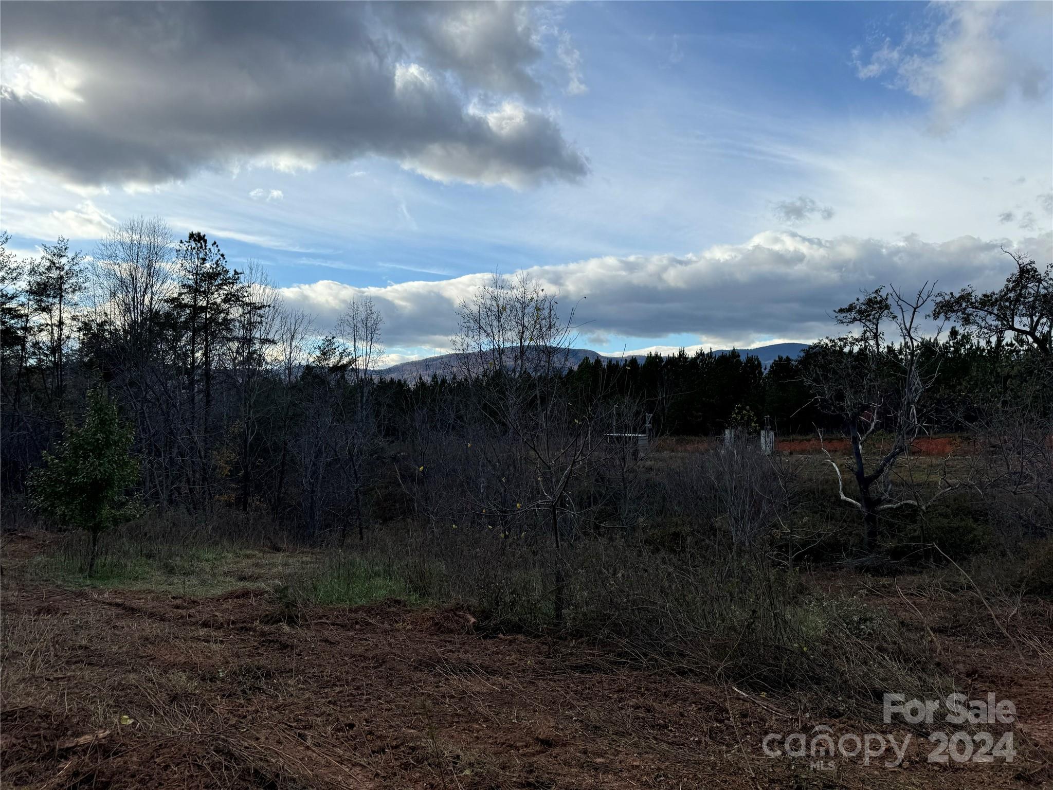 0 Rubin Wilson Road Mill Spring, NC 28756 - Photo 4 of 4