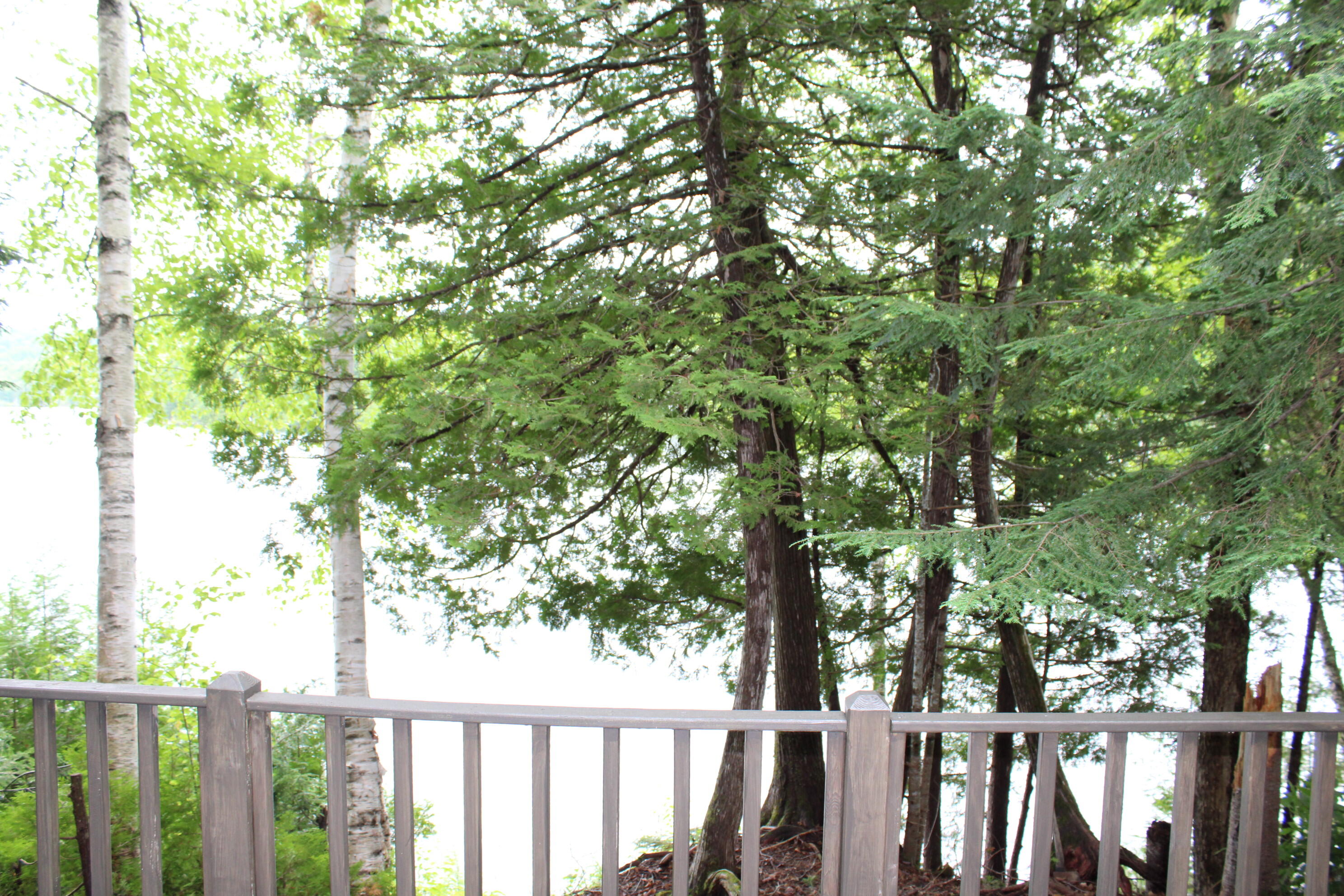 8 Drake Lane Oakfield, ME 04763 - Photo 6 of 22 IMG_0774