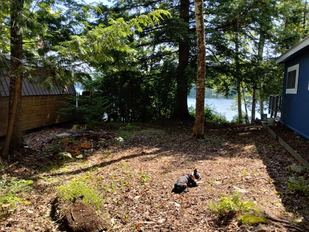 8 Drake Lane Oakfield, ME 04763 - Photo 9 of 22 thumbnail 16