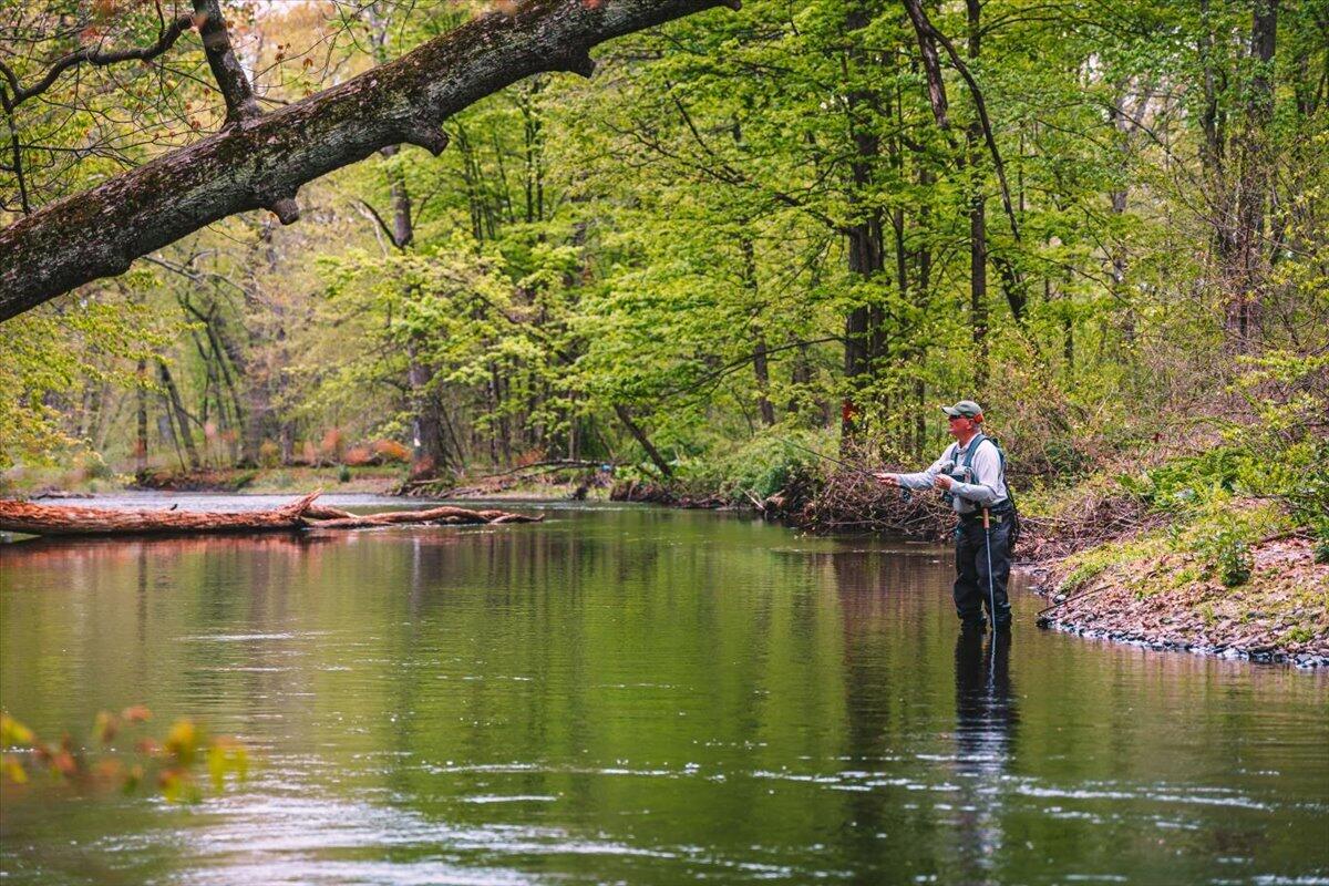 1341 Beaver Valley Road Stroudsburg, PA 18360 - Photo 5 of 84 Fly Fishermen-1