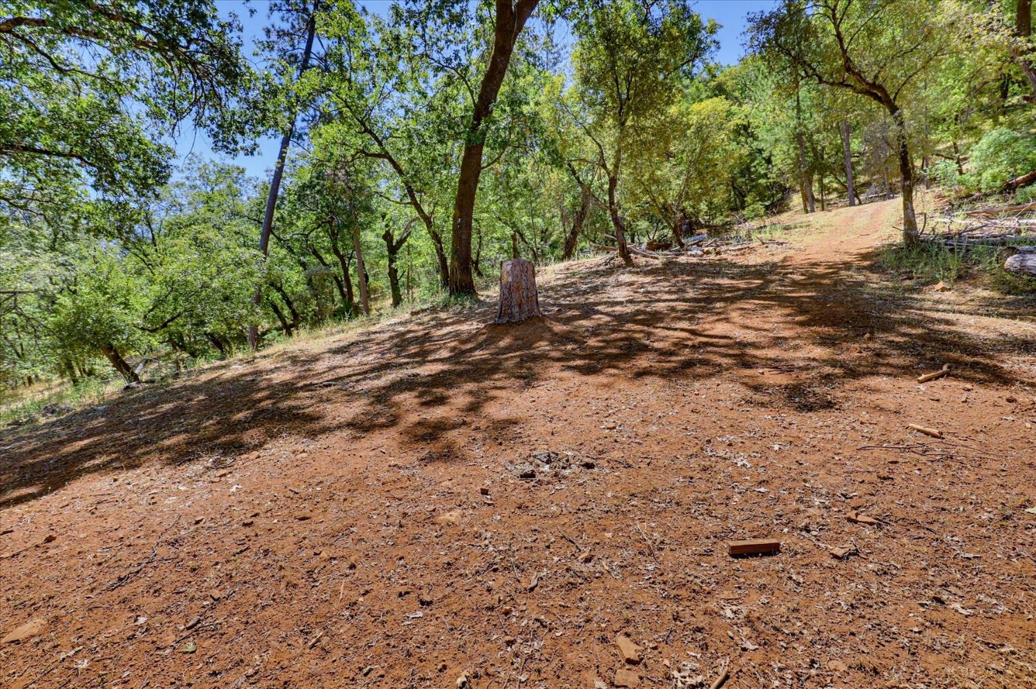 19407 Tiger Tail Road Grass Valley, CA 95949 - Photo 83 of 93