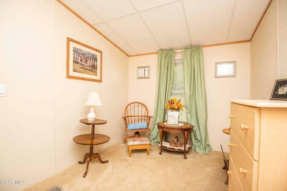 699 Lowes Gap Road Spring City, TN 37381 - Photo 29 of 41 Gallery Image 29