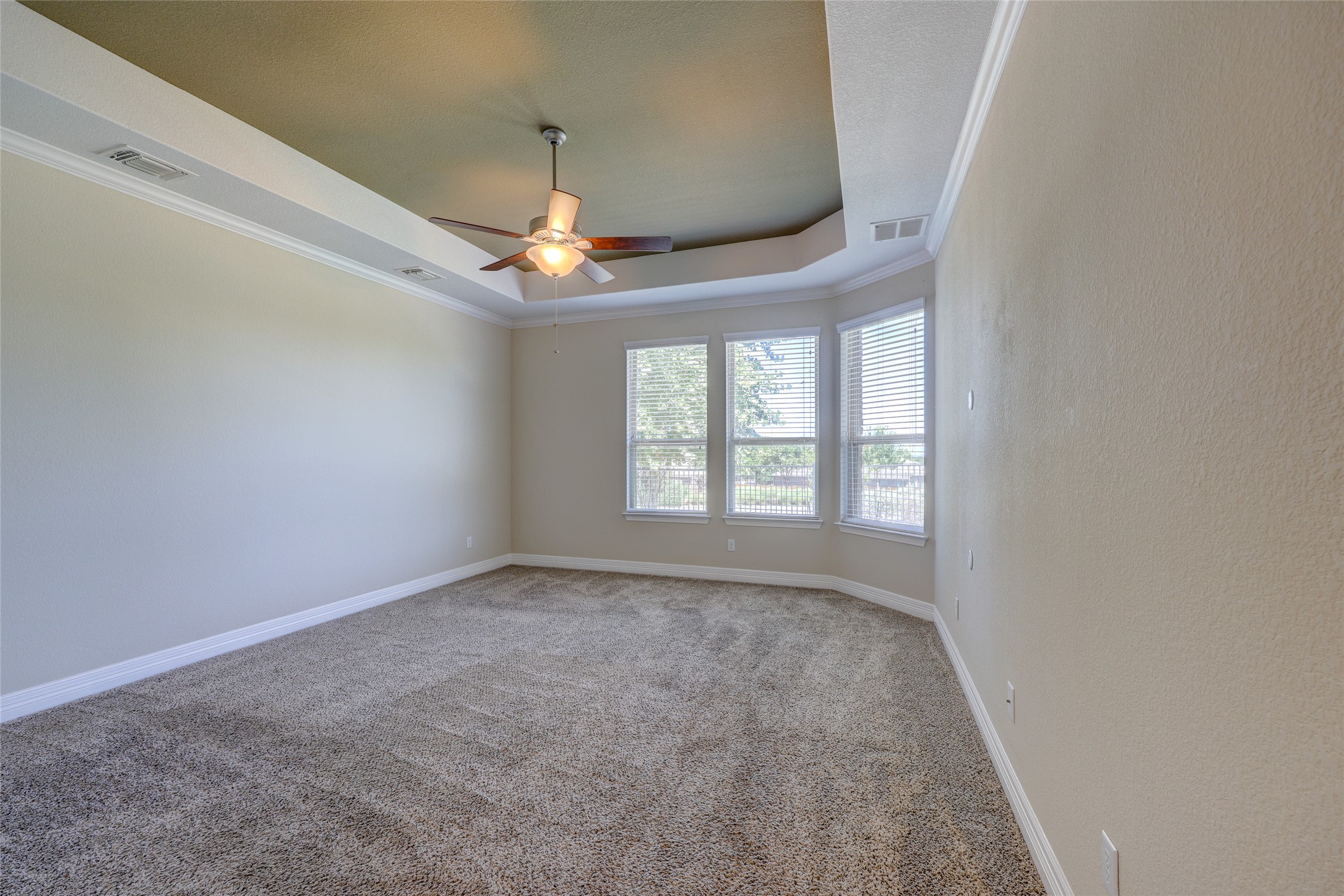 409 Betony Loop Buda, TX 78610 - Photo 17 of 38 A spacious chamber offers ample natural light and a comforting ceiling fan.