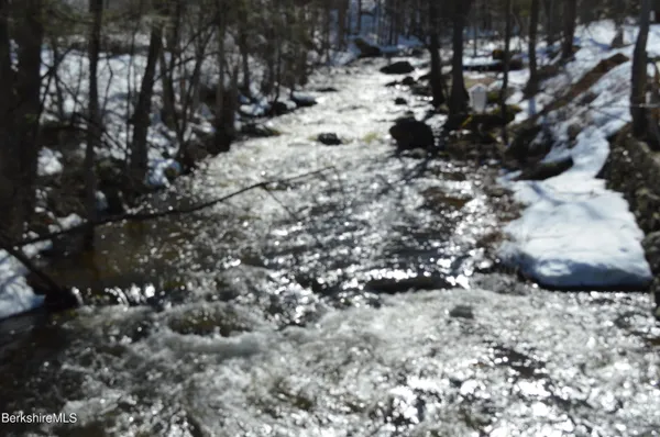 a view of water from a tree