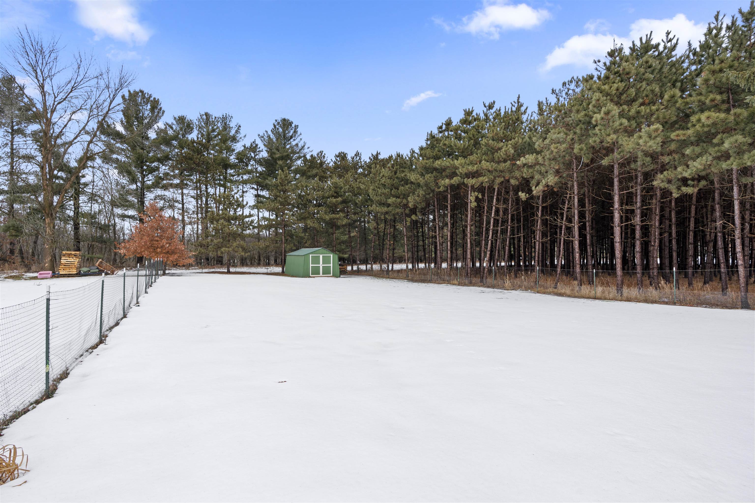 703 Depot Street Manawa, WI 54949 - Photo 10 of 40