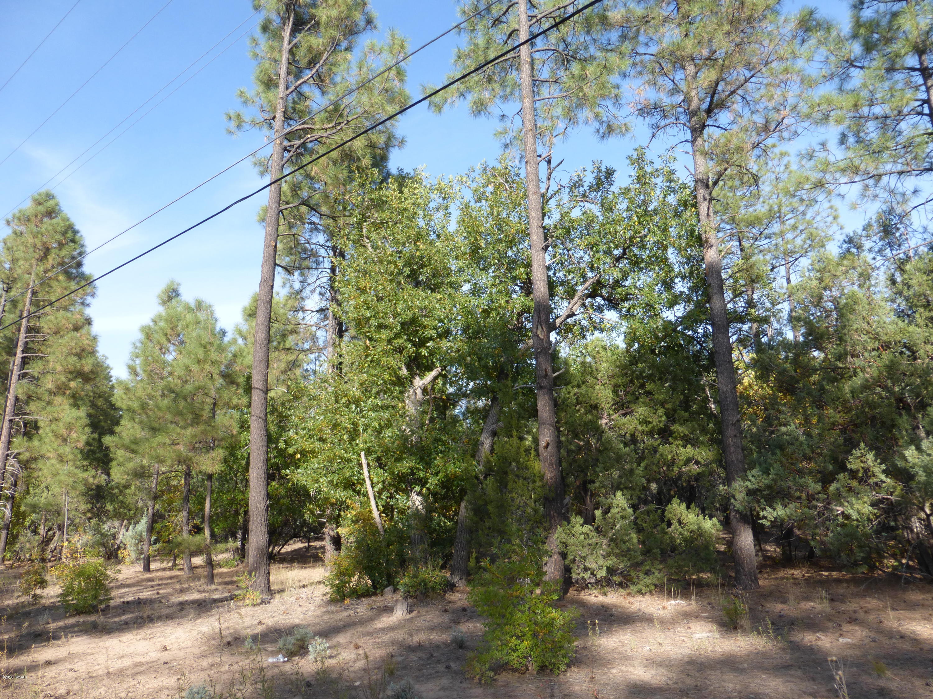 Tbd Woodland Road Lakeside, AZ 85929 - Photo 11 of 13
