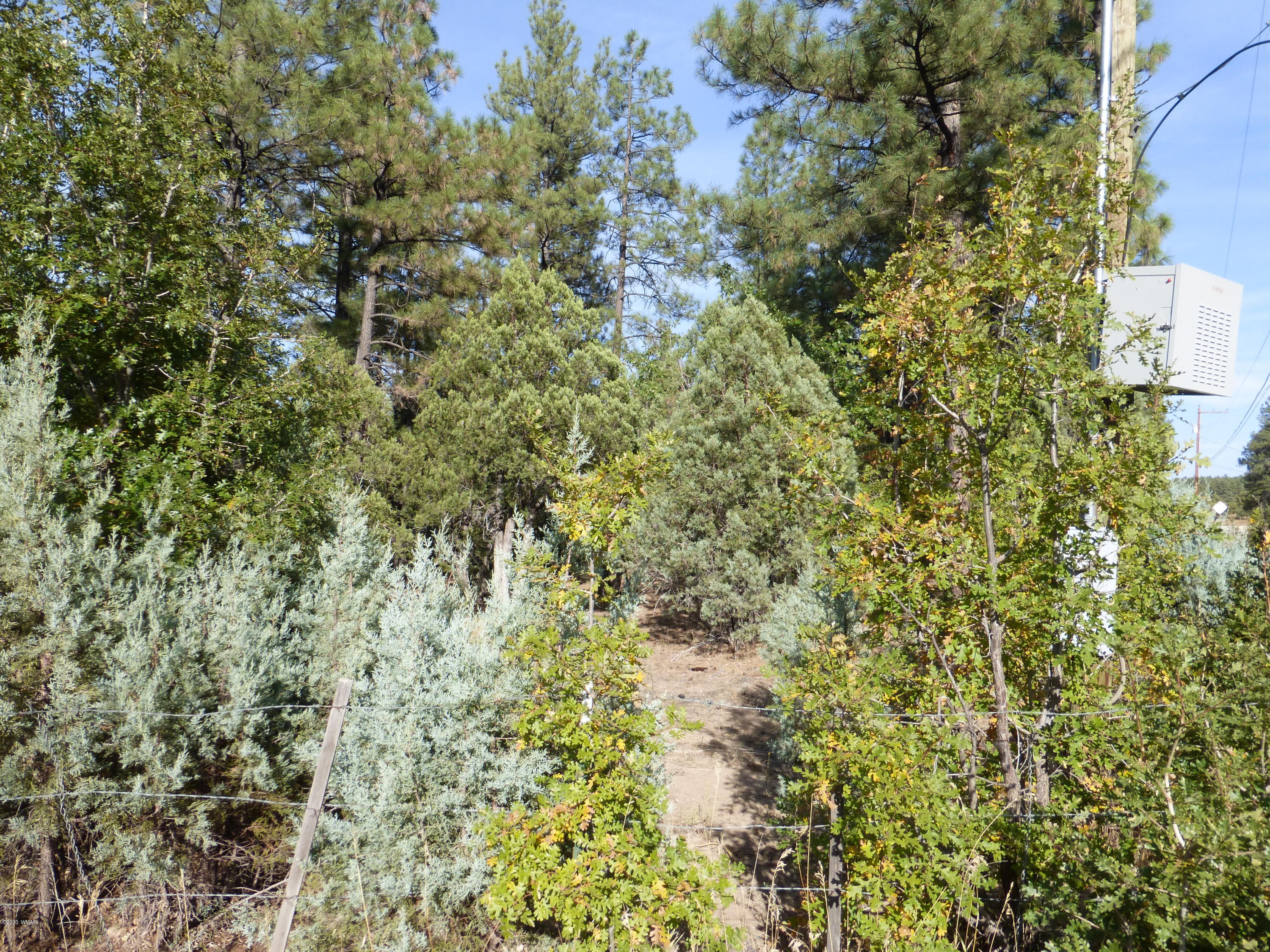 Tbd Woodland Road Lakeside, AZ 85929 - Photo 4 of 13