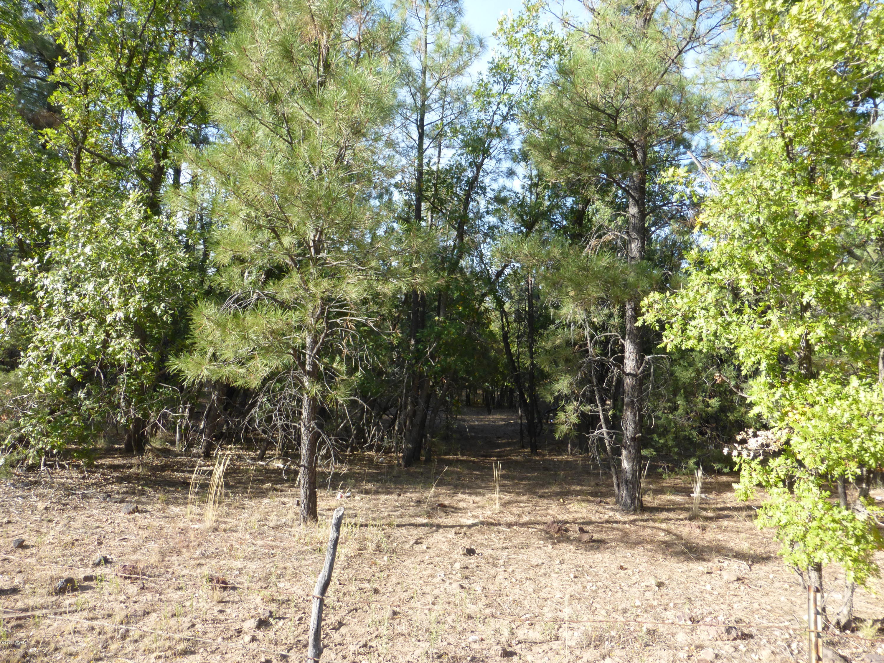 Tbd Woodland Road Lakeside, AZ 85929 - Photo 6 of 13