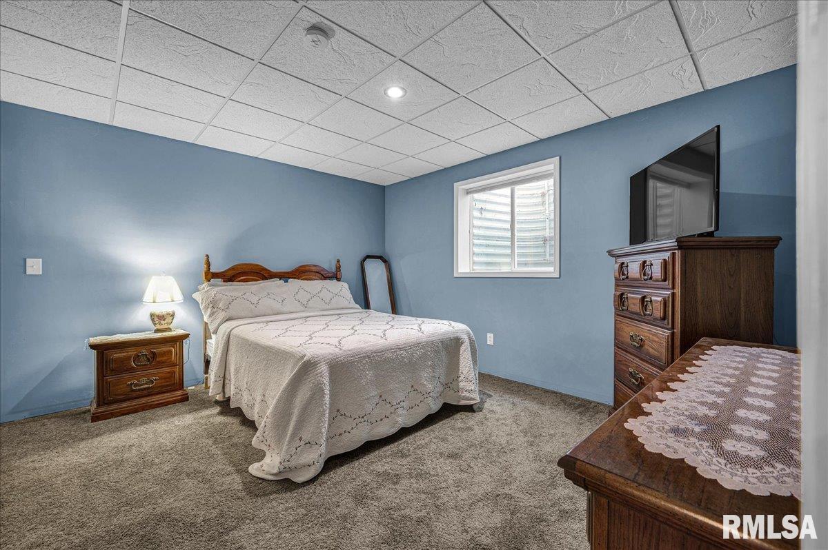 303 Sycamore Trail Chillicothe, IL 61523 - Photo 29 of 44