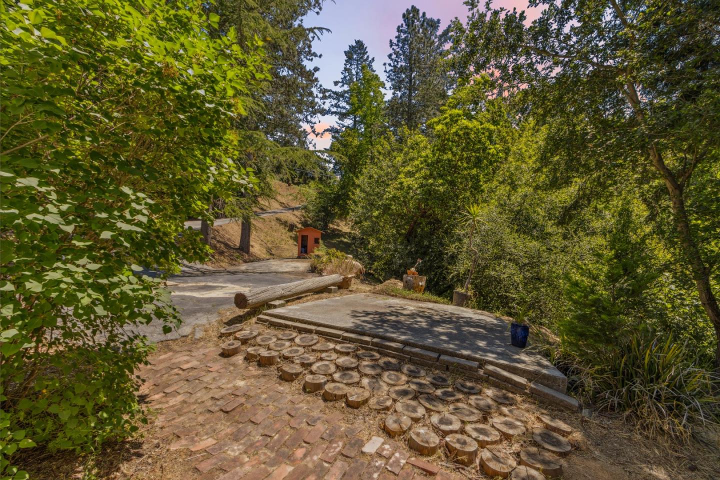 24895 Skyland Road Los Gatos, CA 95033 - Photo 100 of 113 a view of a yard with plants and trees