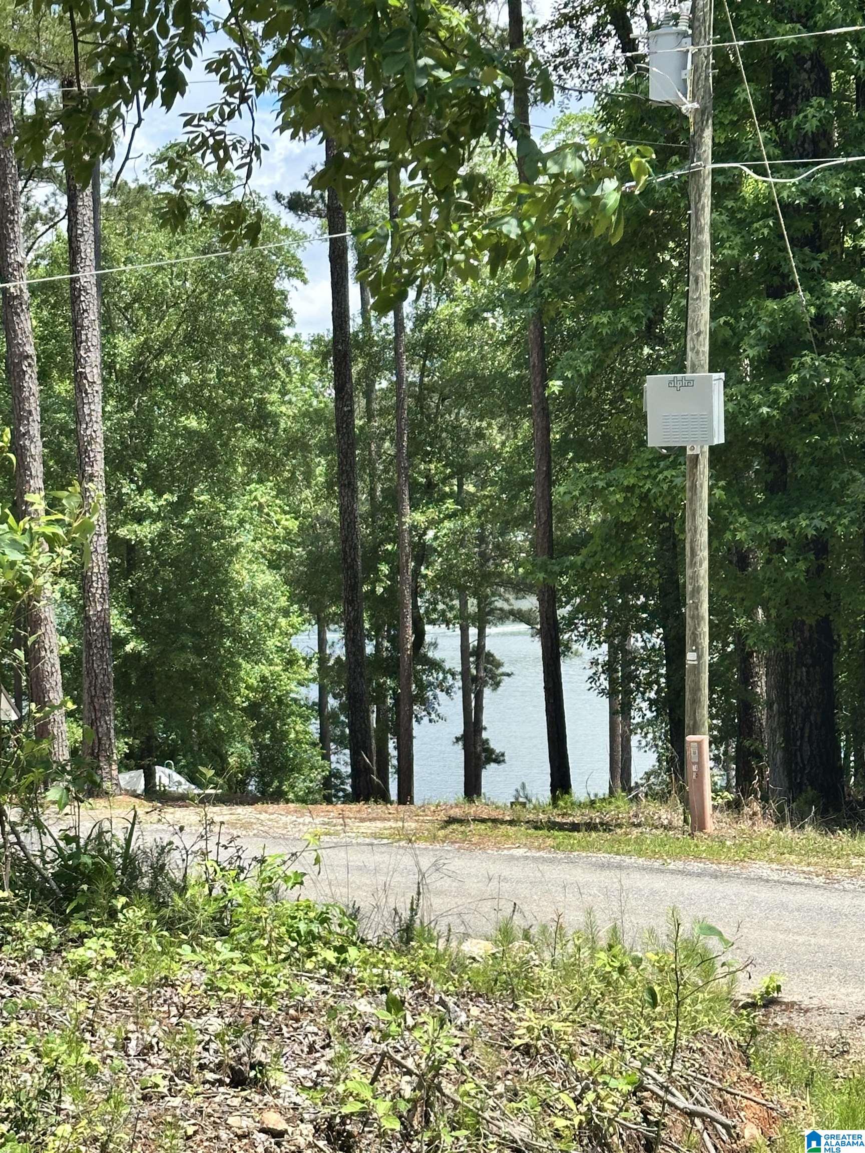 350 Black Acres Road, Unit 11 Cropwell, AL 35054 - Photo 1 of 16