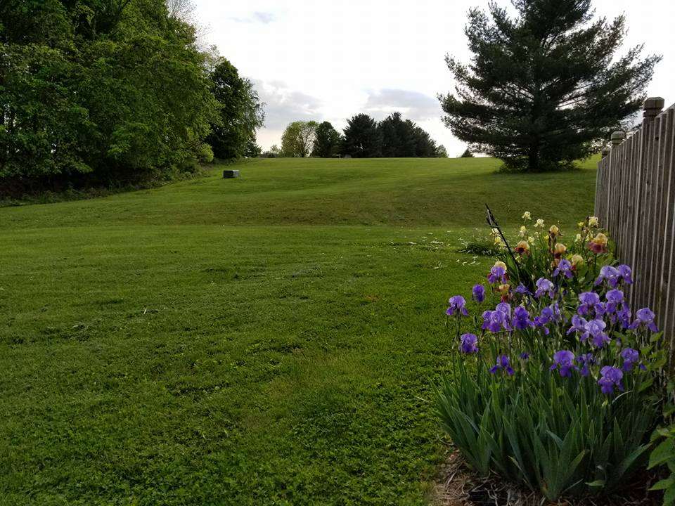 Gallery Image 6