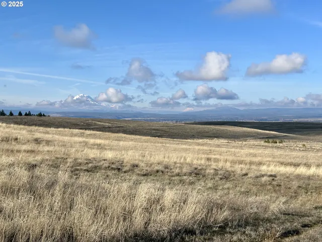 $335,000 | 34 Appaloosa Court, Centerville, WA 98613