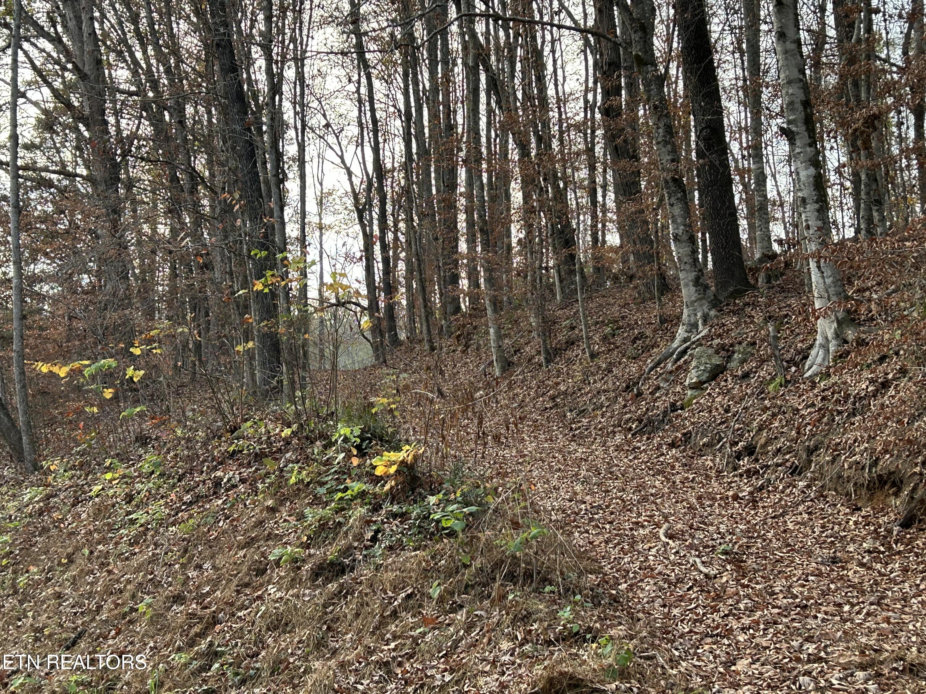 Ridge Crest Road Luttrell, TN 37779 - Photo 1 of 7 IMG_7542