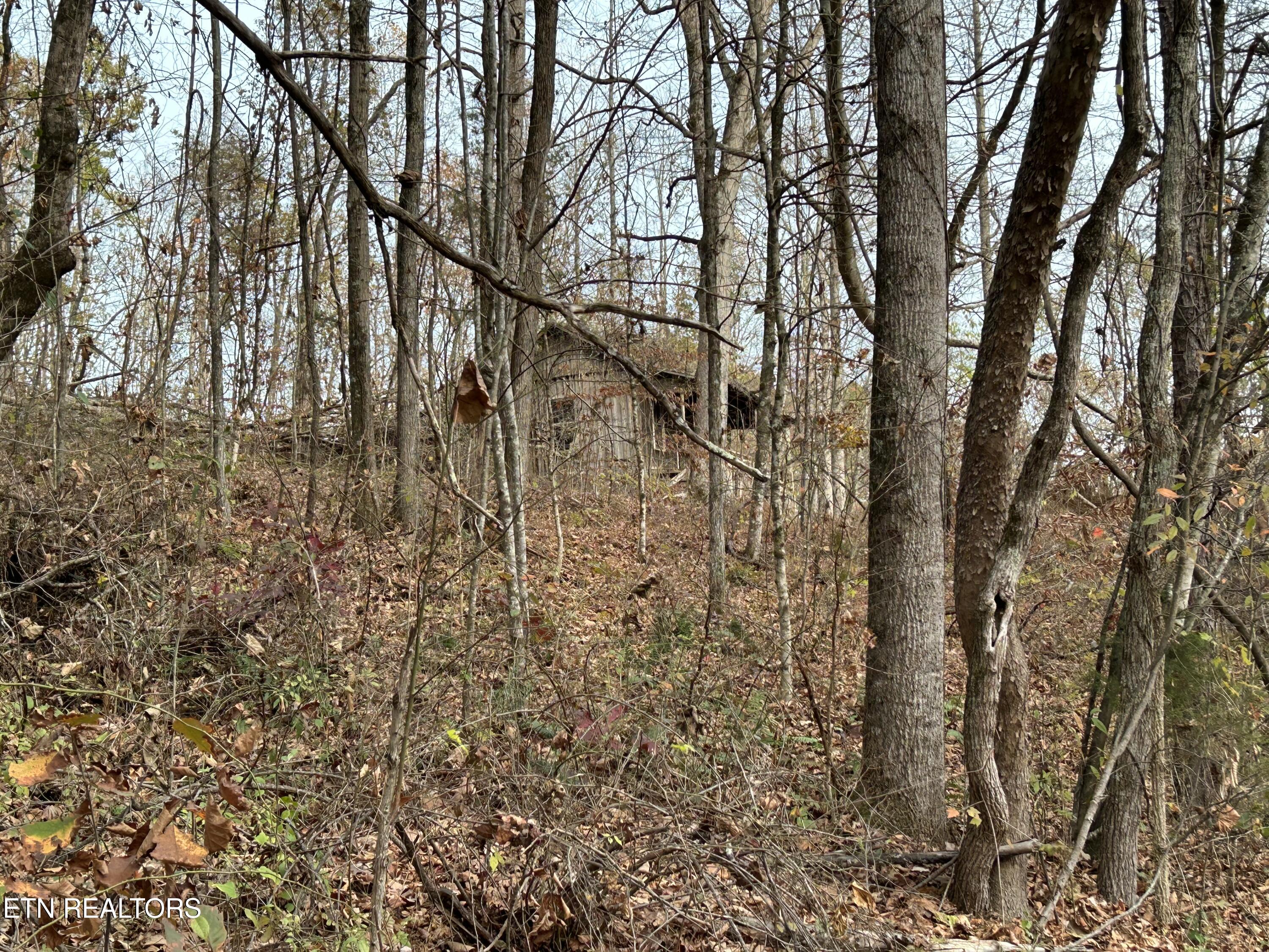 Ridge Crest Road Luttrell, TN 37779 - Photo 3 of 7 IMG_7532