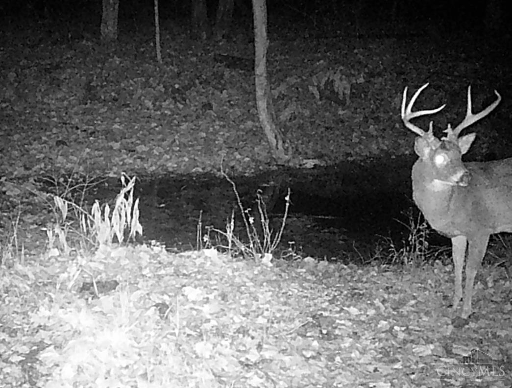 Ac Beech Fork Road Peebles, OH 45660 - Photo 40 of 49