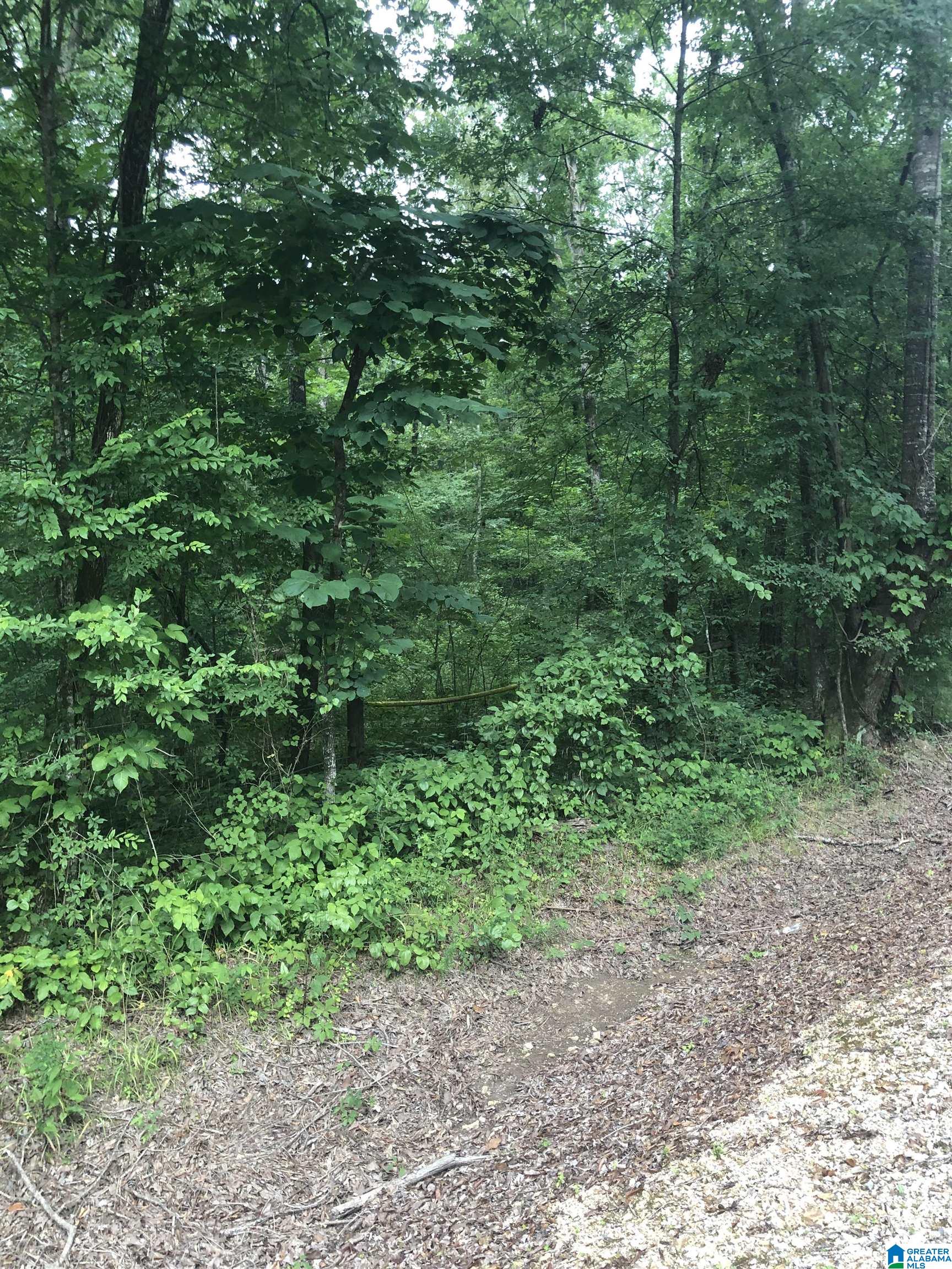 1 Higgins Road, Unit 1 Shelby, AL 35143 - Photo 18 of 21