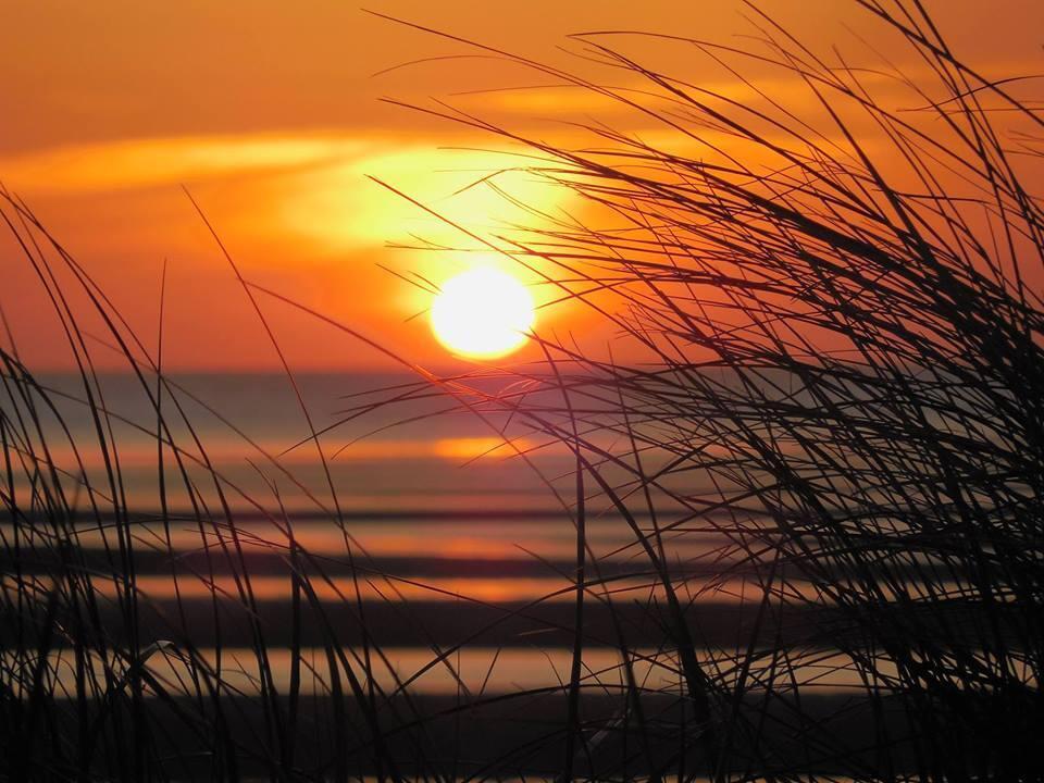 15 Chipmunk Lane Eastham, MA 02642 - Photo 32 of 32 a view of yard with patio