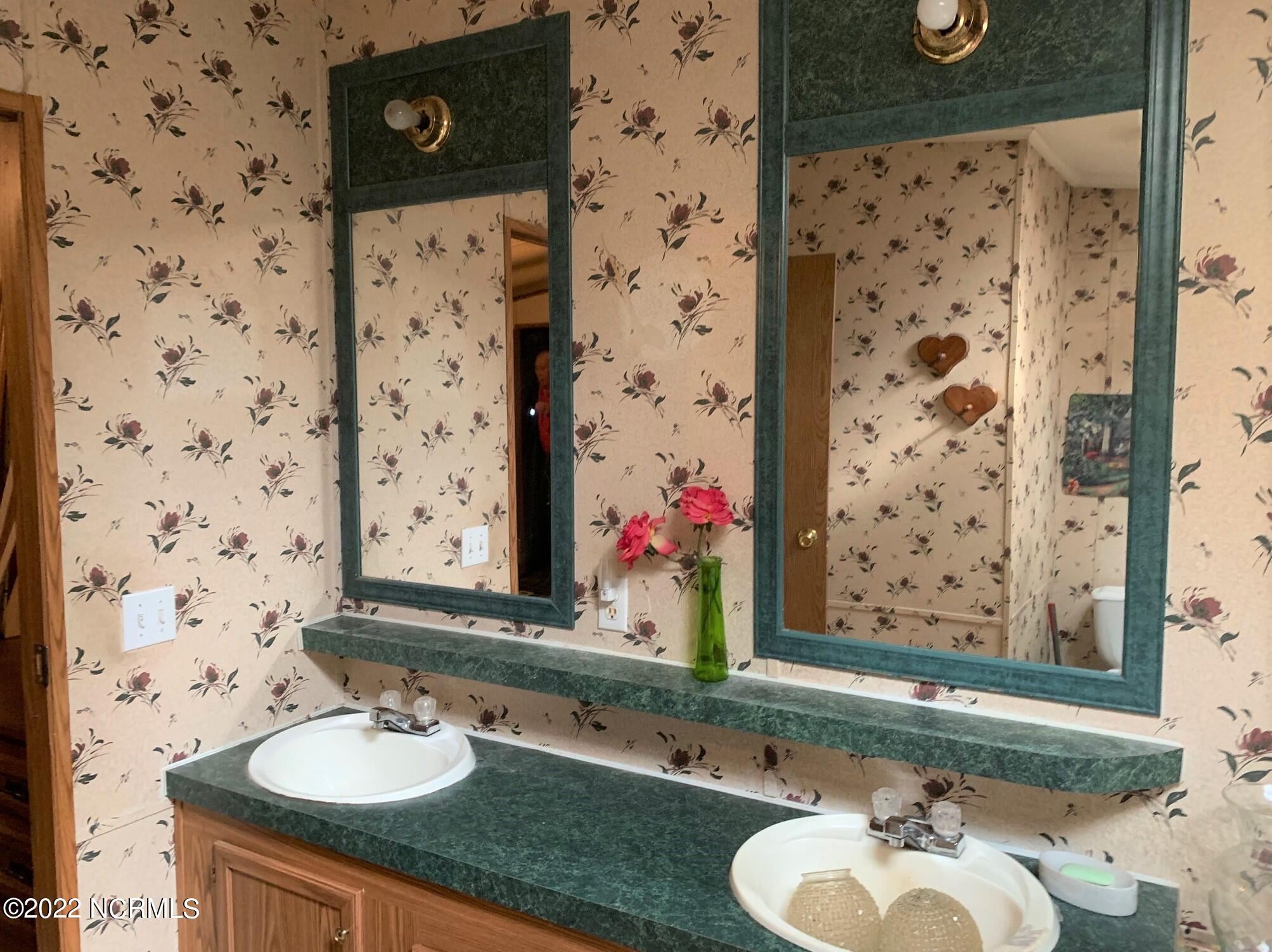 879 Herman Lane Road Stantonsburg, NC 27883 - Photo 11 of 16 Master Bath