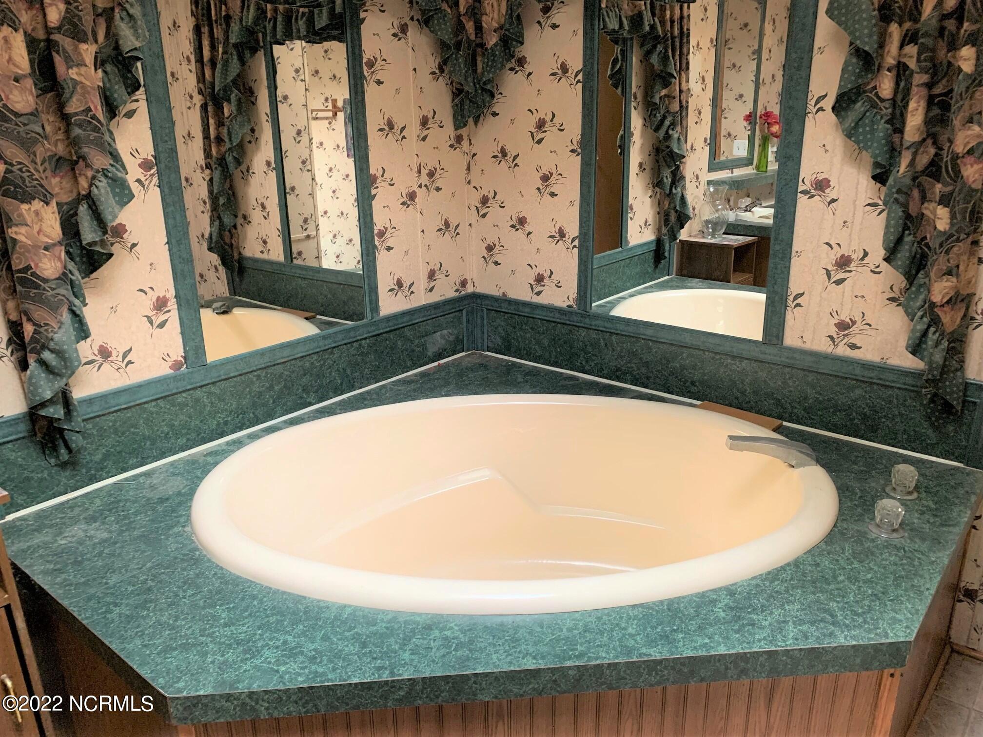 879 Herman Lane Road Stantonsburg, NC 27883 - Photo 12 of 16 Master Bath