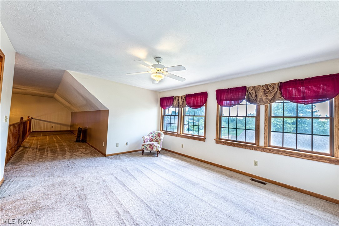13957 Diagonal Road Lagrange, OH 44050 - Photo 26 of 31 Gallery Image 26