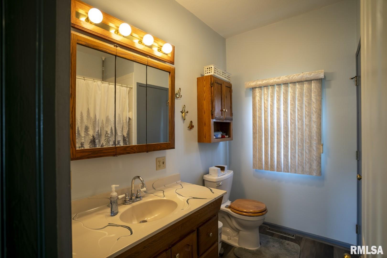 1359 South Bridge Road Niantic, IL 62551 - Photo 23 of 84