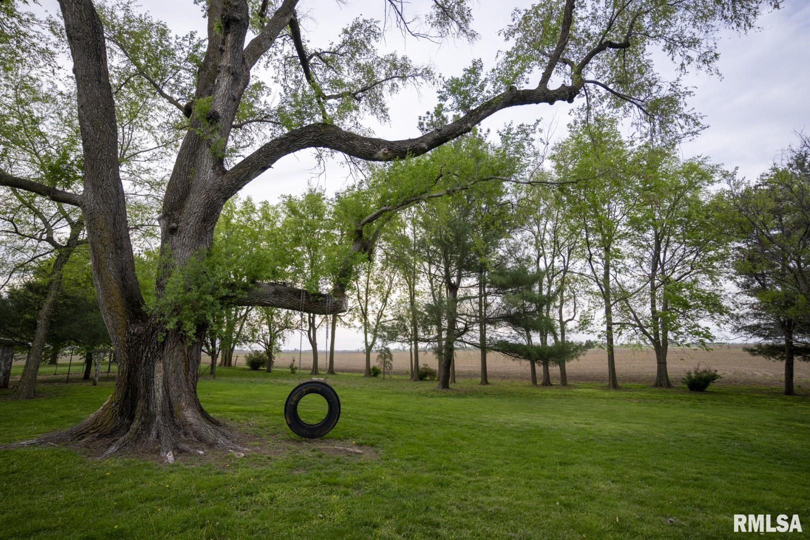 1359 South Bridge Road Niantic, IL 62551 - Photo 54 of 84