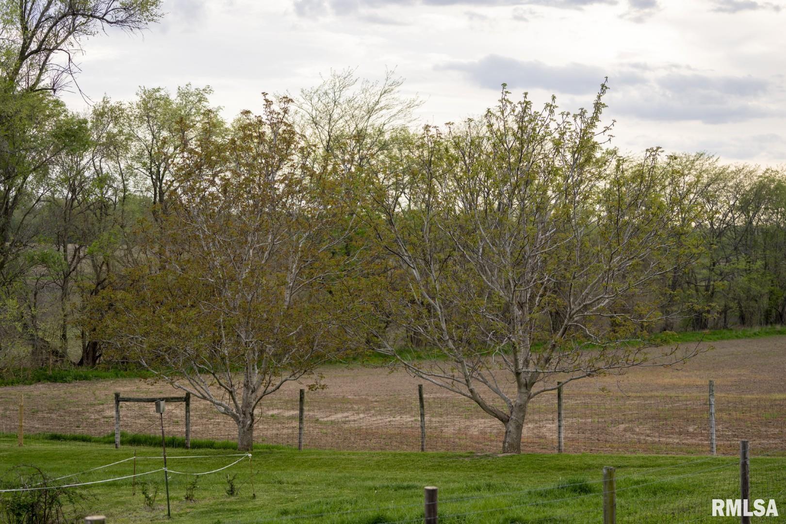 1359 South Bridge Road Niantic, IL 62551 - Photo 55 of 84